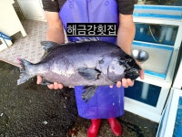 해금강횟집
