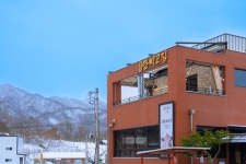 안씨고집