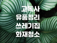 특수청소