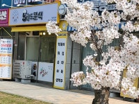5늘도분식