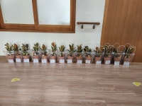 라라온실 원예 치유센터