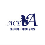 안산에이스애견미용학원