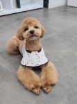 우리몽