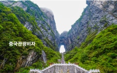 유니코투어