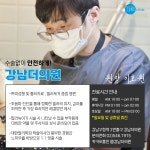 강남더의원