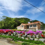 대후보건진료소