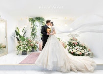 비비드포레(VIVIDFORE) | 비비드포레