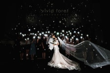 비비드포레(VIVIDFORE) | 비비드포레