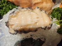 해신