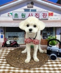 몽개구름