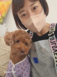 비더붐