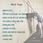 요가, 받아들임