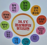가호방 게르마늄방찜질