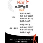뉴스크린골프