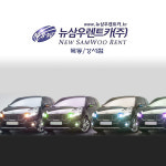 뉴삼우렌트카 목동지점