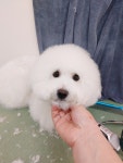 유별난 가위