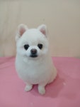 깔끔하개