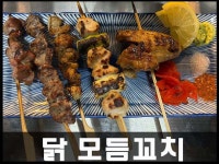 네코도리