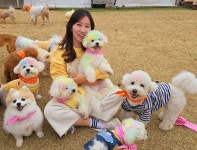 스토리멍 여수애견호텔 애견유치원