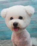 그루밍루니