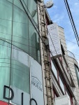 모호스튜디오