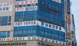본이비인후과의원