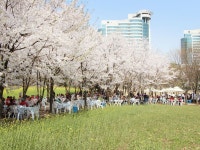 삼성노블카운티 너싱홈