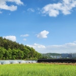 묵과두부이야기