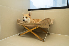 포우 파라다이스