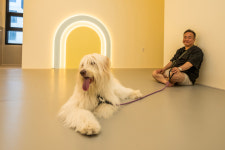 포우 파라다이스