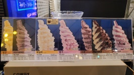 팜플로리아