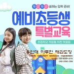 용인대마루한태권도