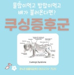 온누리동물의료센터