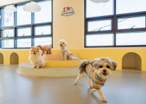 포우 파라다이스