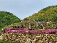 문경다원