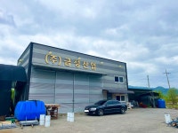 금성산업