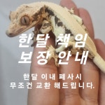 파충류샵 크레노바