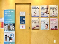 동백에이스의원