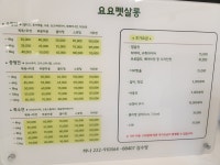 요요펫살롱