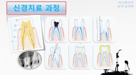 화이트치과의원