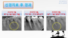 화이트치과의원