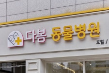 다봄동물병원
