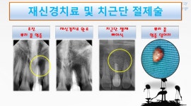 화이트치과의원