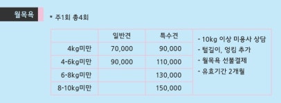 펫살롱 테리루이