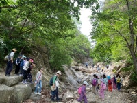 민들레숲협동조합