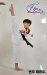 현무태권도