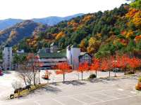 오색탄산온천