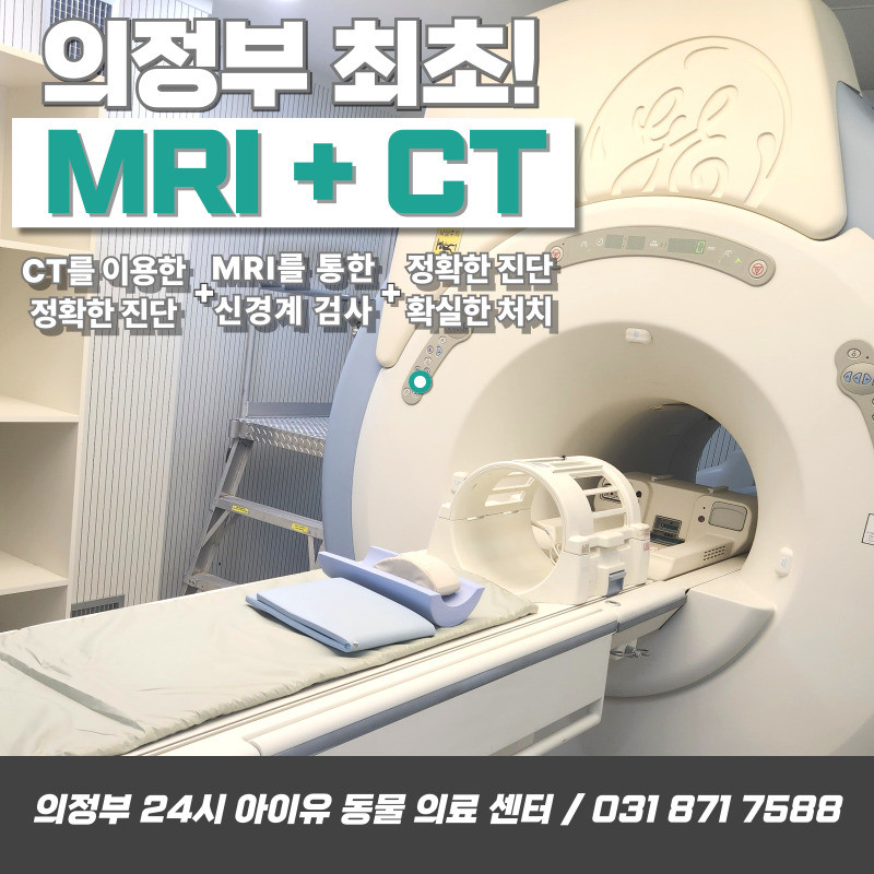 의정부24시아이유동물메디컬센터