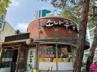 소나무집