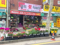 마트꽃직매장